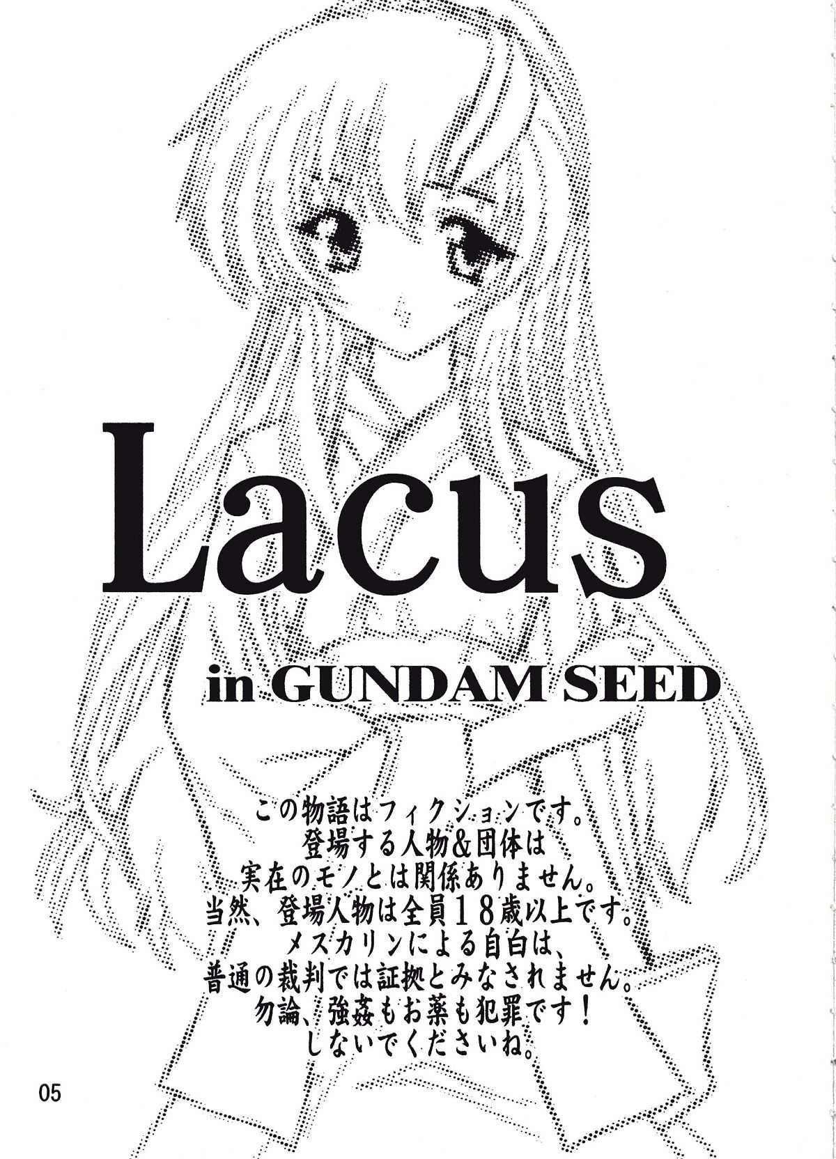 [Studio Q] Lacus [Gundam Seed] 