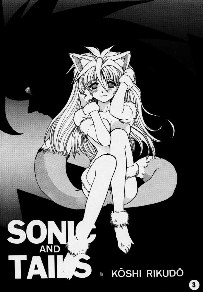 [Rikudoukan] Sonic &amp; Tails [六道館] Sonic &amp; Tails
