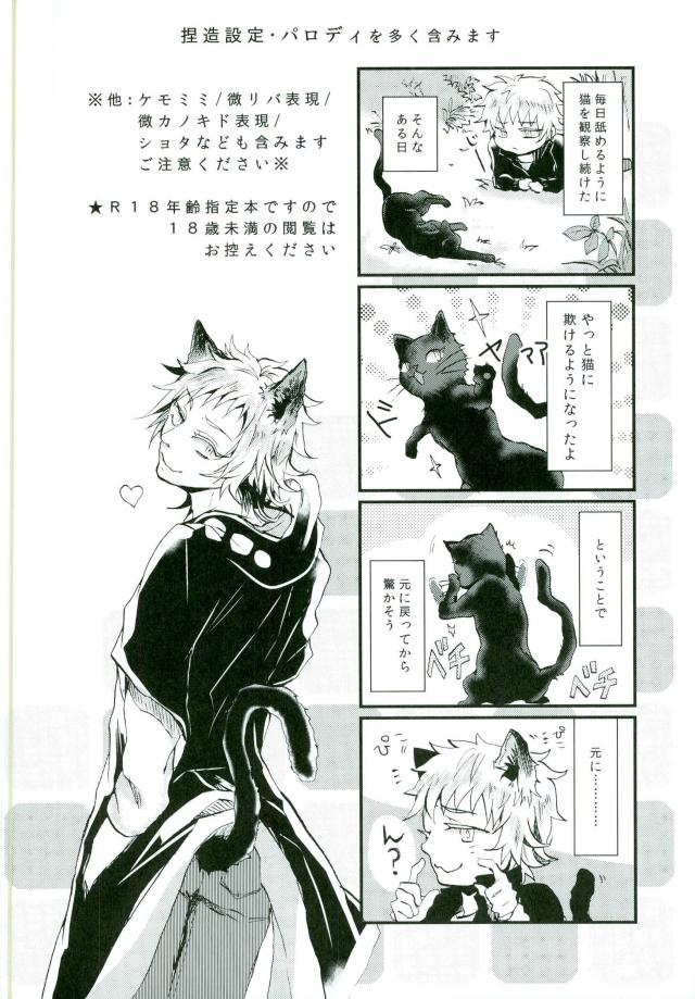 (Mekakushidan Katsudou Nisshi 3-satsume) [Kurobuchi (Nmi)] Usotsuki Neko (Kagerou Project) (メカクシ団活動日誌3冊目) [クロブチ (Nみ)] ウソツキネコ (カゲロウプロジェクト)