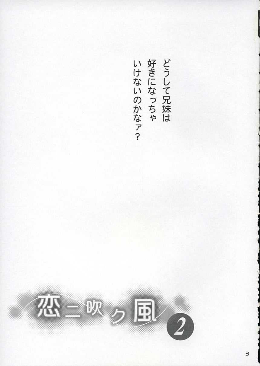 (C67) [Purin Yokochou (Ouka Sushi)] Koi ni Fuku Kaze 2 ~Nanoka~ (Koi Kaze) [ぷりん横丁 (桜花すし)] 恋ニ吹ク風2 (恋風)