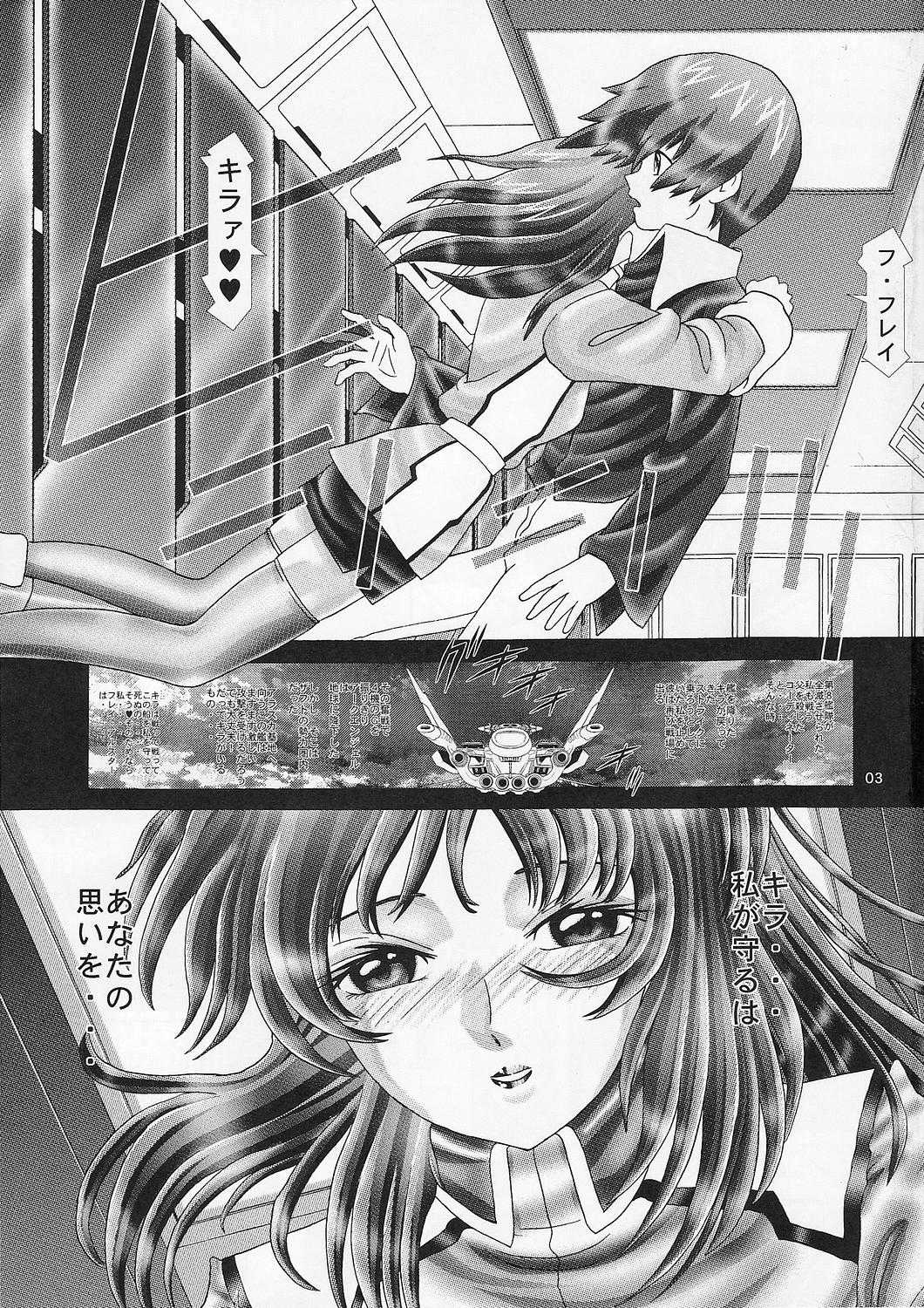 (C67) [Kaki no Boo (Kakinomoto Utamaro)] RANDOM NUDE Vol.3 - Flay Allster (Gundam Seed) (C67) [柿ノ房 (柿ノ本歌麿)] RANDOM NUDE Vol.3 - Flay Allster (機動戦士ガンダム SEED)