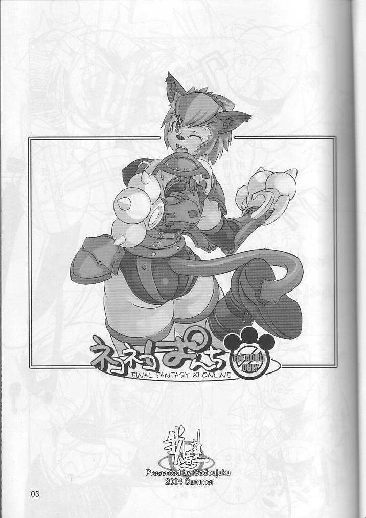 (C66) [Gadoujuku (Kawacchi Hirohiro)] Neko Neko Punch (Final Fantasy XI) (C66) [我道塾 (かわっちひろひろ)] ネコネコぱんち (ファイナルファンタジー XI)