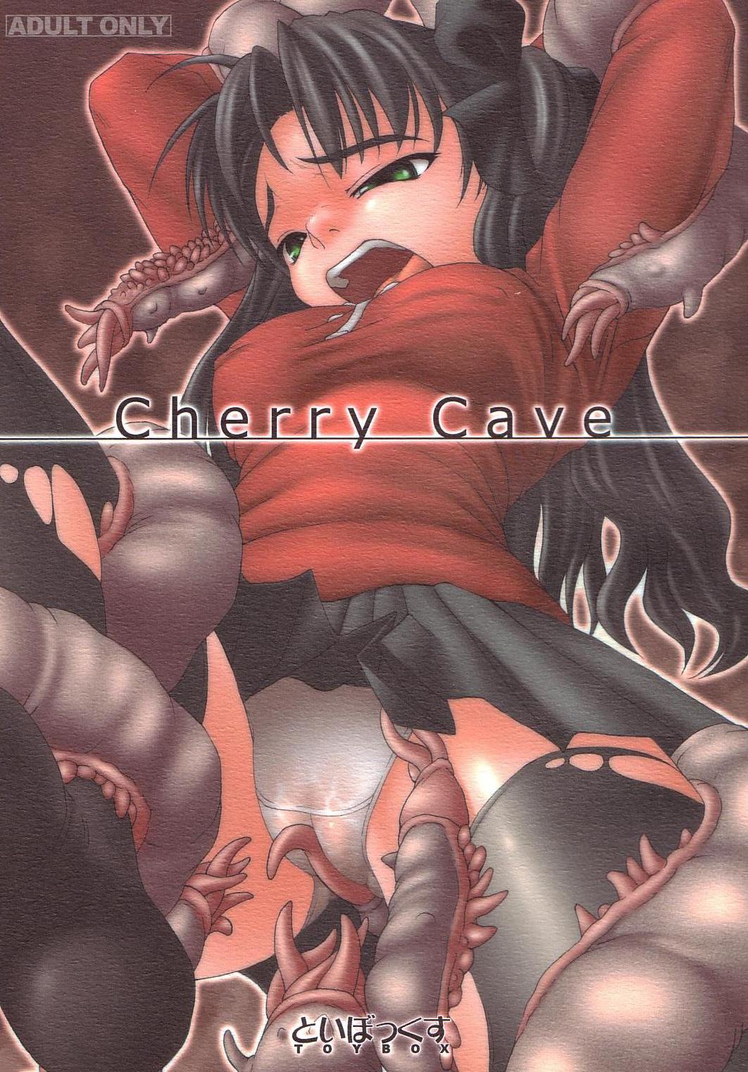 [TOYBOX (Jacky)] Cherry Cave (Fate/stay night) (同人誌) [といぼっくす (Jacky)] Cherry Cave (Fate/stay night)