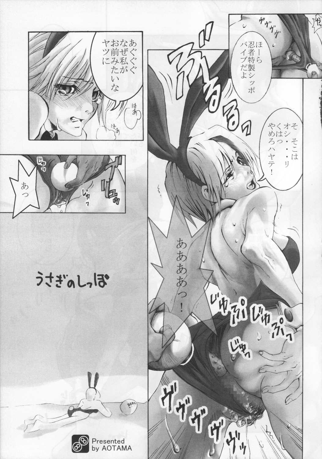 [Ninetail (Grifon)] hamabe no Koneko Vol.0 (Dead or Alive Xtreme) [Ninetail (Grifon)] 浜辺の娘猫 vol.0 (Dead or Alive Xtreme)