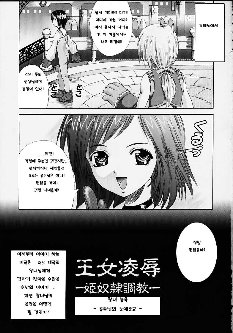 (C58) [Abura katabura (Papipurin)] Oujo Ryoujoku Garnet (Final Fantasy IX) [Korean] (C58) [あぶらかたぶら (ぱぴぷりん)] 王女凌辱 Garnet (ファイナルファンタジーIX) [韓国翻訳]