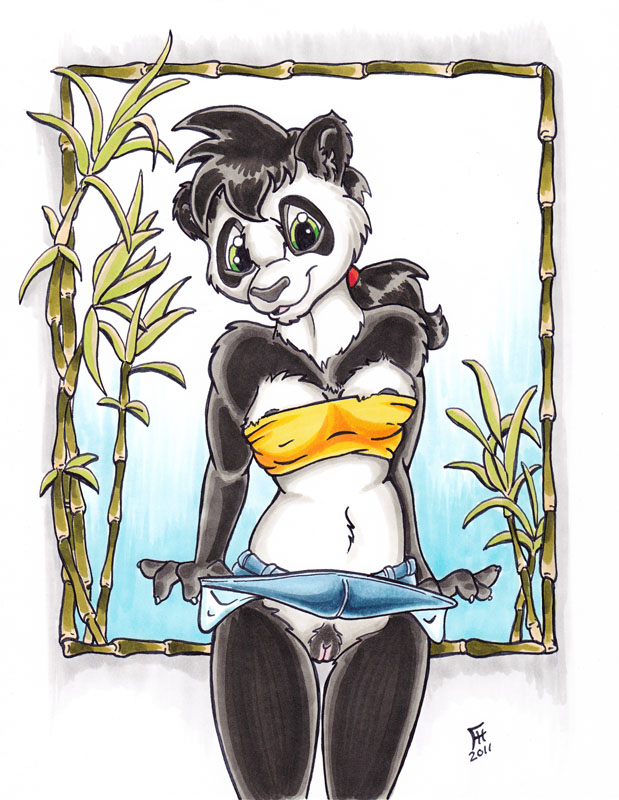 Furry Panda Gallery 